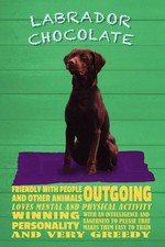 Holzschild 30x20 cm Labrador