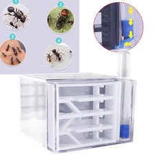 Ant farm lustige spielzeug diy - ant,