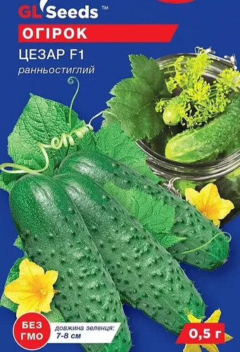 Gurkensamen snack gurke cezar - snack,