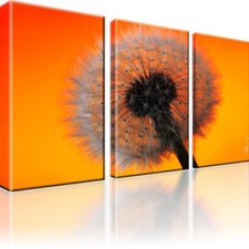 Pusteblume Blüte Blume Bild Kunstdruck 3-teilige Bilder auf Leinwand