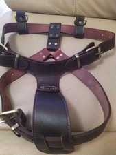 LEDER GESCHIRR FUR GROSSE