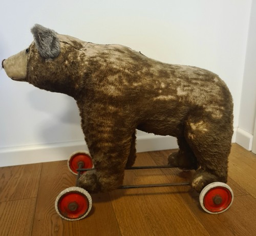 Bär auf rollen - bär,
