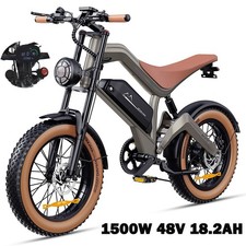 1500W Electric Bicycle 48V