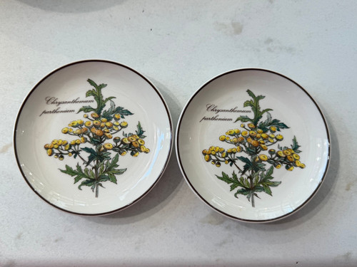 Villeroy boch botanica - boch,