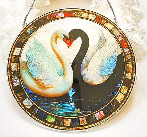 Schwarzer weißer schwan - &,