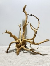 rote Moorwurzel Redwood