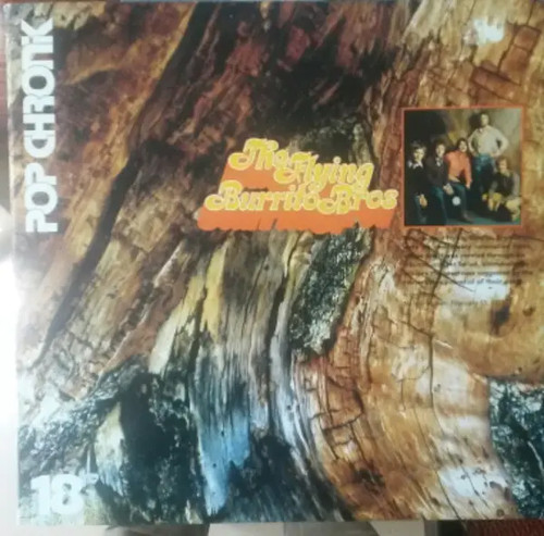 The flying burrito - burrito, pop