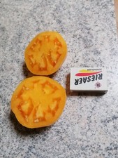 15 Tomatensamen  Tomate  Große Orange Fleischtomaten Stabtomate