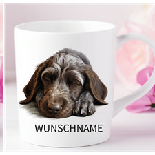 Deutscher Drahthaar Pointe -