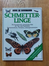 Schmetterlinge - Gerstenberg