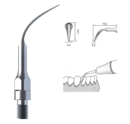 Zeg spitze tip gs4 - tip,