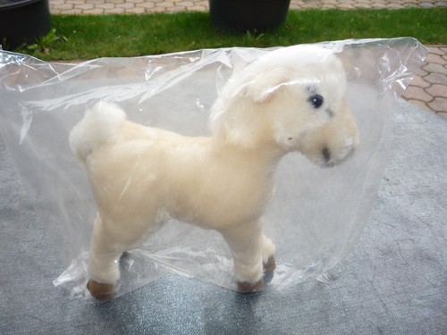 Haflinger pony plüschtier - pony,