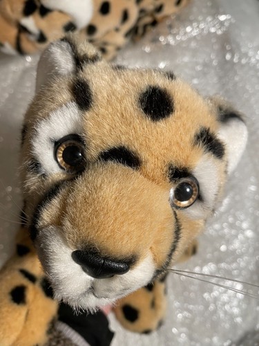 Wwf anna club - wwf, canon