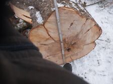 Apfelholz Apfel Stamm basteln Deko drechseln Holz Epoxidharz