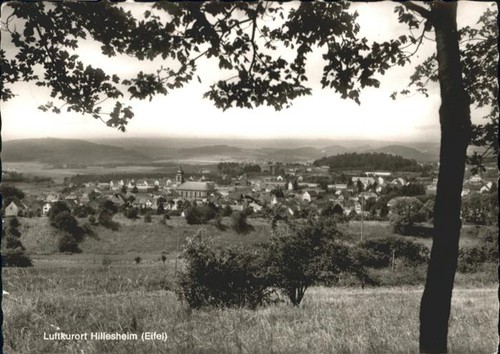 Hillesheim eifel - eifel,
