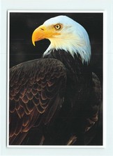 1 AK Postkarte Amerikanischer