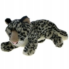 Zoo liegender Leopard