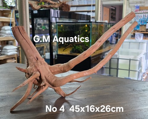 Spider slim holz aquascape - spider, /