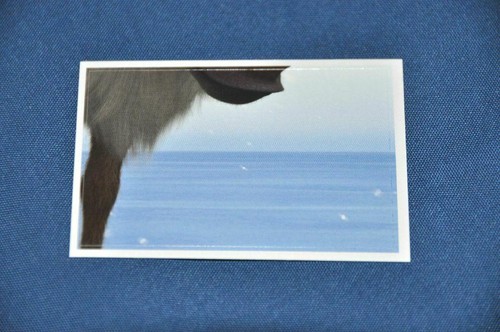 Rewe abenteuer tierwelt - abenteuer,