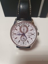 Citizen Herren Armband Funk