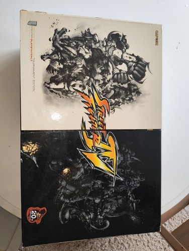 Street fighter fight - fighter, te