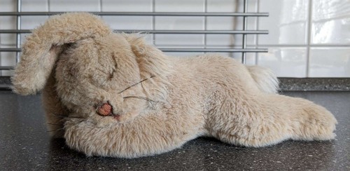 Steiff floppy hase 5705 - steiff,