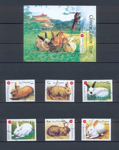 Schönes lot haustiere - schönes, hase