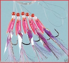 10 x Hokki Pink Tail Sea