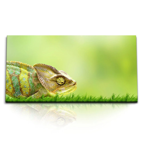 120x80cm kunstdruck bilder - 120x80cm,