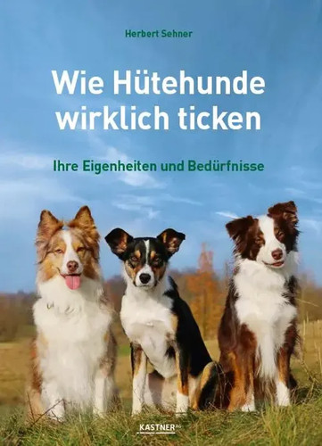 Wie hütehunde wirklich ticken - wie,