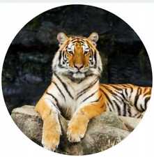 Tiger Essbar Geburstag