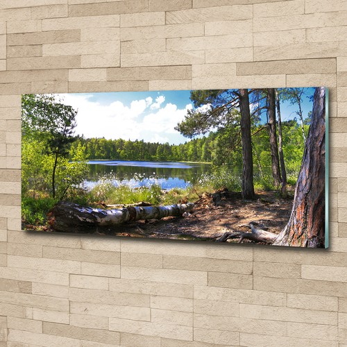 Glas bild wandbilder druck - glas-bild, auf