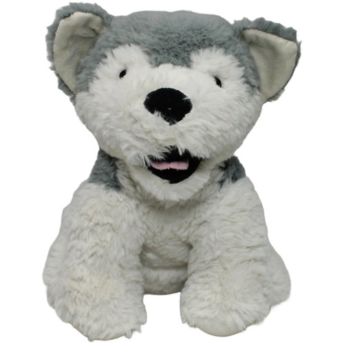 Trading hund husky - zd,