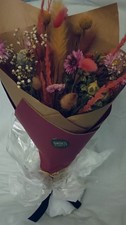 💐Living Vase Pflanze Aqua