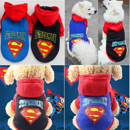 Superman haustier hund - superman,