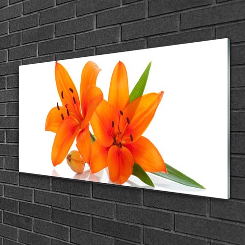 Wandbilder aus plexiglas - aus, plexiglas®