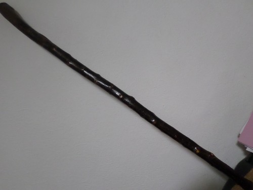 Blackthorn knopf gehstock - knopf,