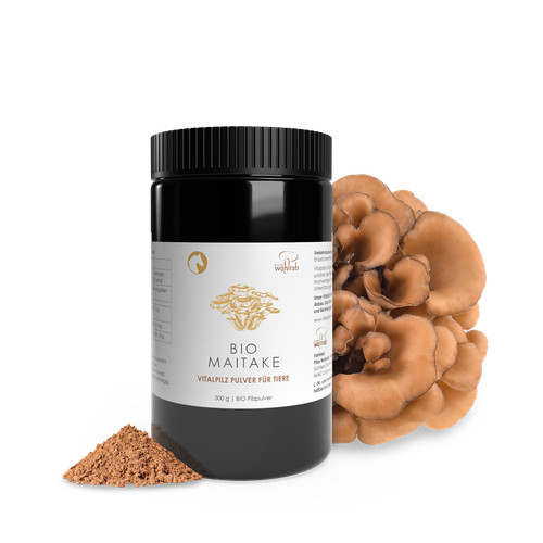 Pilze wohlrab bio maitake - |,
