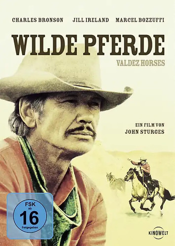 Wilde pferde - wilde,
