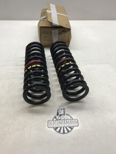 2 x Feder Fahrwerksfeder vorne Mercedes W124 original NOS NEU 1243213004