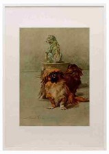 Graf Maud 1864 1943 Power Dog