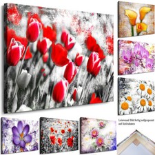 WANDBILDER BLUMEN - XXL LEINWAND BILDER - VERSCHIDENE BLUMENARTEN - PFLANZEN 