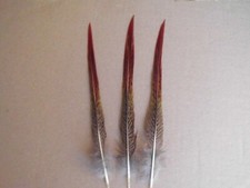 5  Sprösselfedern vom