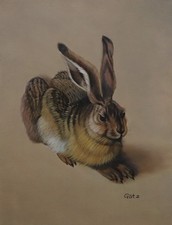 Ölgemälde 30x40 Albrecht Dürer-Junger Hase Reproduktion handgemalt Öl Leinwand