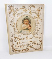 Aus des Lebens Mai Steinkamp