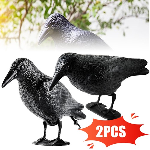Vogelabwehr rabe vogelschreck - vogelabwehr,