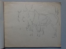 Pferde Tiere - Wilhelm Höhnel Skizzenbuch 3 Zeichnungen Tinte Bleistift - 1890