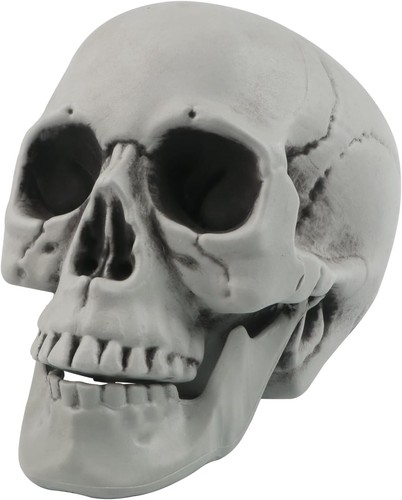 Halloween schädel totenkopf - halloween,