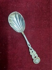 Hildesheimer Rose - Antiko 100