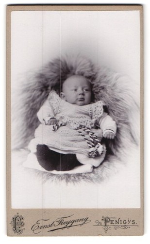 Fotografie ernst freygang - fotografie,